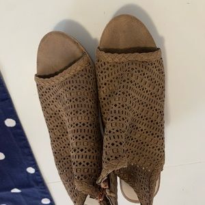 Fertile Wedge Sanders